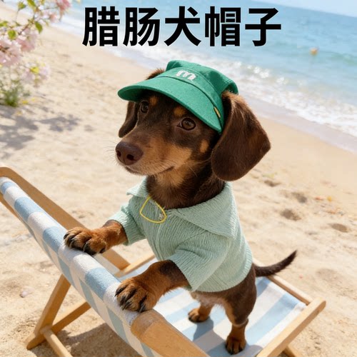 小型犬腊肠犬露耳遮阳帽子