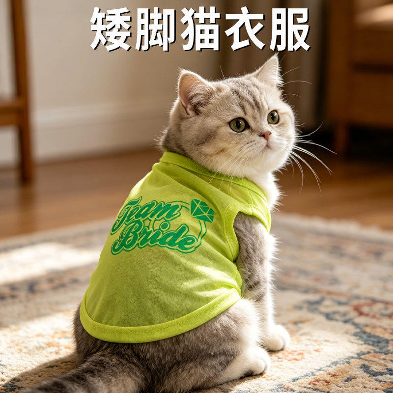 矮脚猫衣服拿破仑曼基康薄款透气春夏可爱装扮米努特矮宠物脚服饰图片