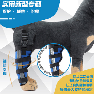 狗狗髌骨脱位固定带康复后狗腿部保护狗术后行走辅助固定支撑护膝