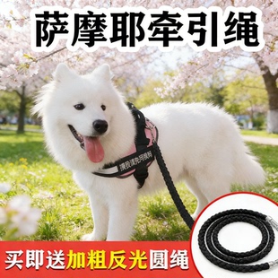 萨摩耶大型犬背心式胸背带外出专用遛狗绳宠物狗狗反光可伸缩圆绳