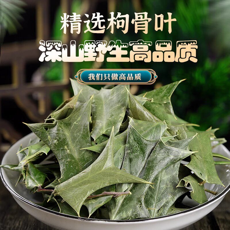 枸骨叶袋装500克功劳叶狗枸骨叶八角刺猫儿刺八角刺羊角刺树叶