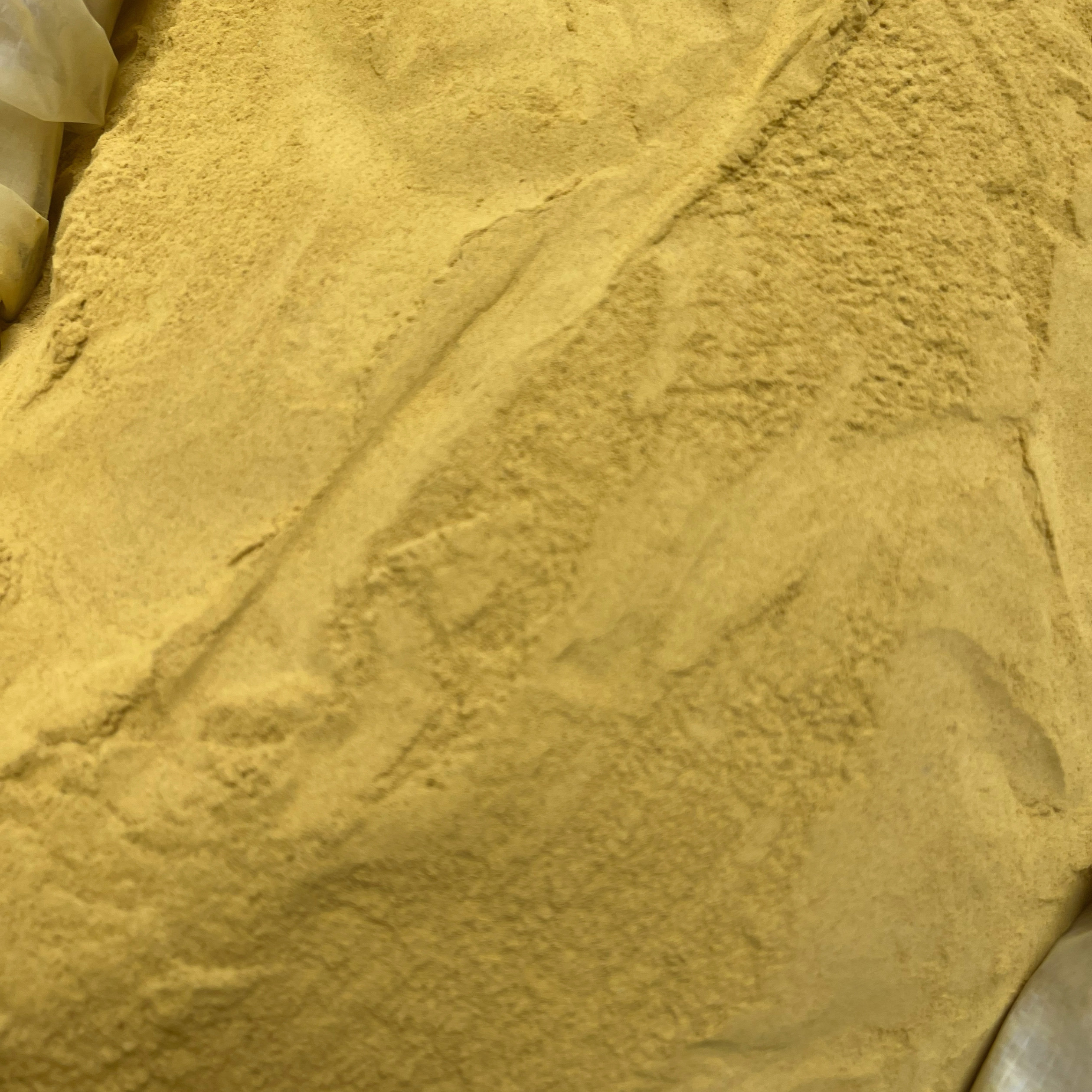 中药材蒲黄 纯净蒲黄粉 生蒲黄包邮