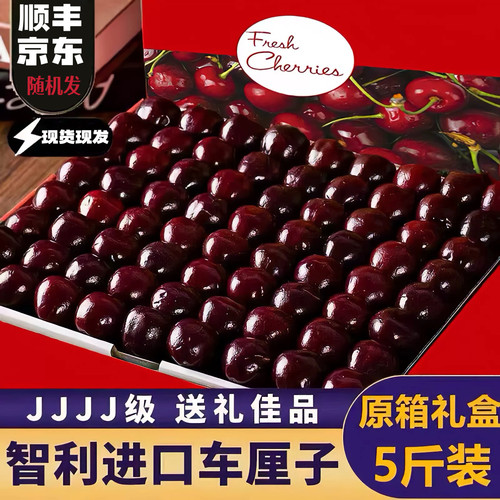 智利进口5J桑提娜车厘子樱桃新鲜水果大果应当季顺丰包邮礼盒发货