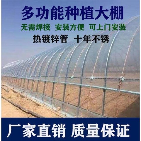 高档大棚骨架养鸡大棚种植大棚室殖大棚全套钢管钢架温养大棚奢华