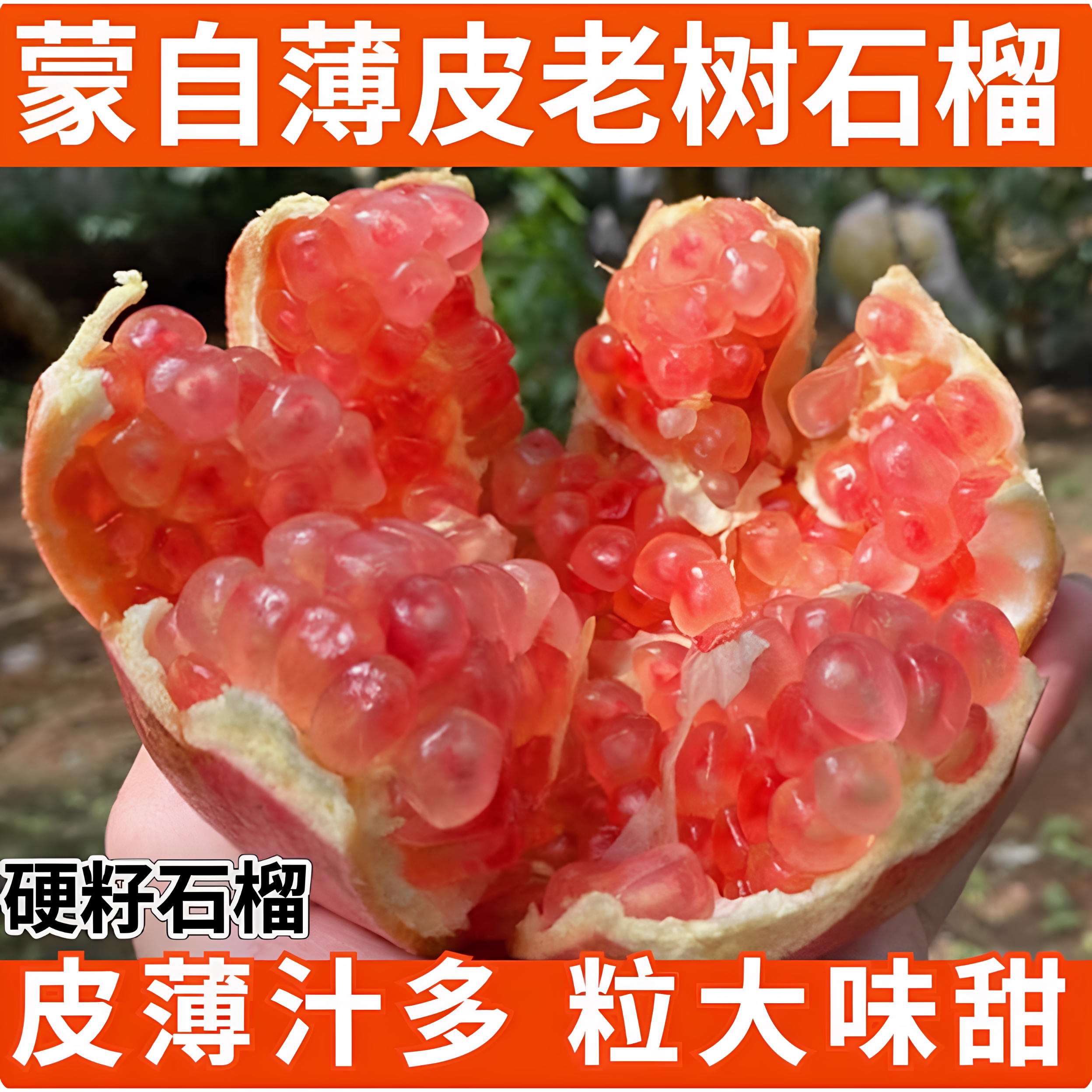 云南蒙自石榴正宗甜石榴薄皮当季老树现摘硬籽新鲜水果水晶可顺丰
