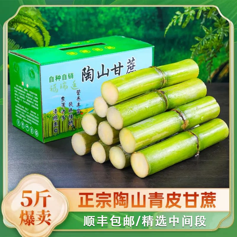 顺丰包邮陶山甘蔗当季脆甜手撕独立包两个节装新鲜水果青皮甘蔗