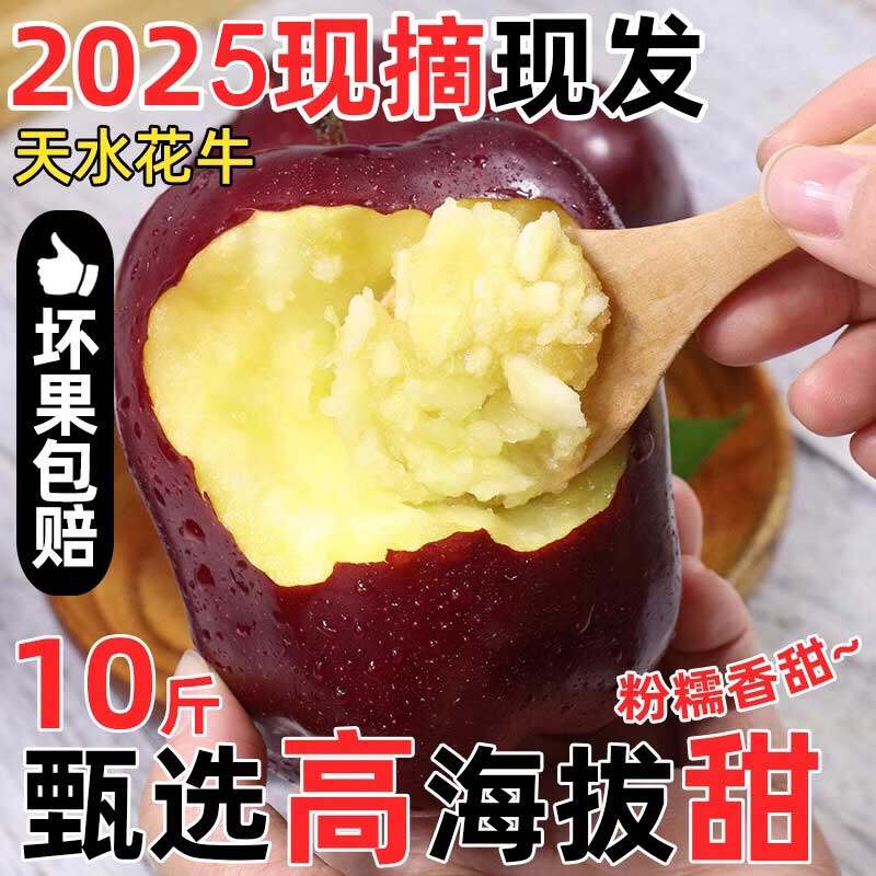 正宗甘肃天水花牛苹果粉面孕妇宝宝老人辅食农花果蛇脆粉苹果包邮