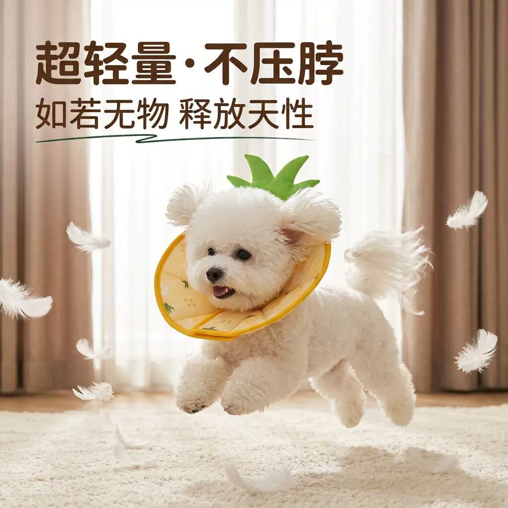 伊丽莎白圈猫绝育项圈防舔咬猫咪项圈防水狗狗头套宠物驱虫围脖圈