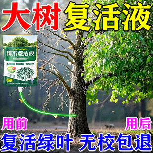 大树营养液吊针袋果树移栽树木激活液强力生根药水枯树再生复活液
