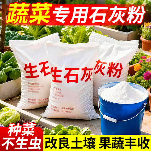 【蔬菜专用】生石灰粉土壤菜地除虫改善土壤高纯度生石灰防虫