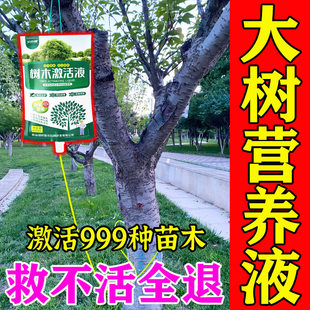 大树营养液吊针袋果树移栽树木激活液桂花树强力生根药水枯树再生