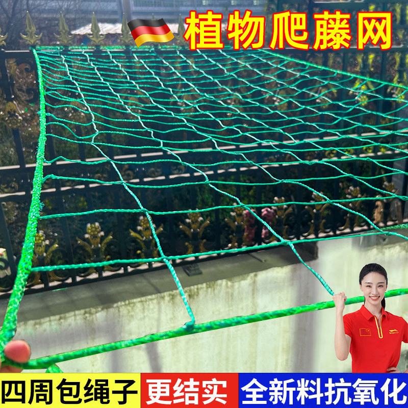植物爬藤网攀援网园艺搭架网瓜果丝瓜苦瓜月季藤蔓花卉攀爬种植网