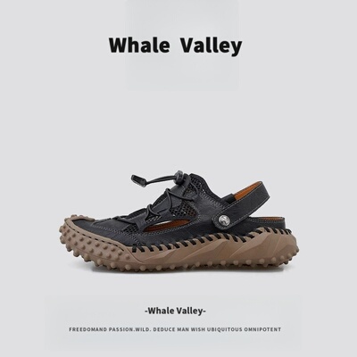 【1万+人种草】WhaleValley