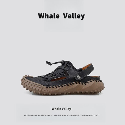 【1万+人种草】WhaleValley