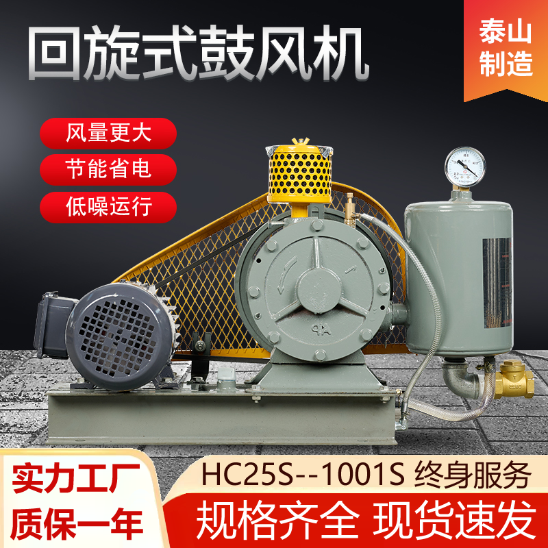 泰山HC回旋式鼓风机污水处理一体化大风量滑片式回旋式鼓风机厂家