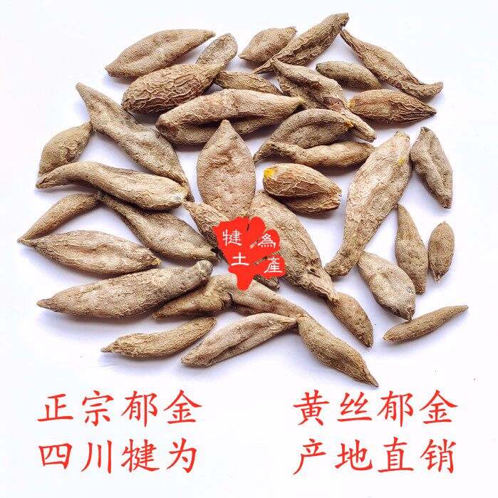 四川黄丝郁金 正宗金丝郁金 道地药材 犍为产地直销 2023年新货