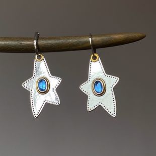 Vintage new耳环星星耳环小众设计感高级耳环气质海星耳环
