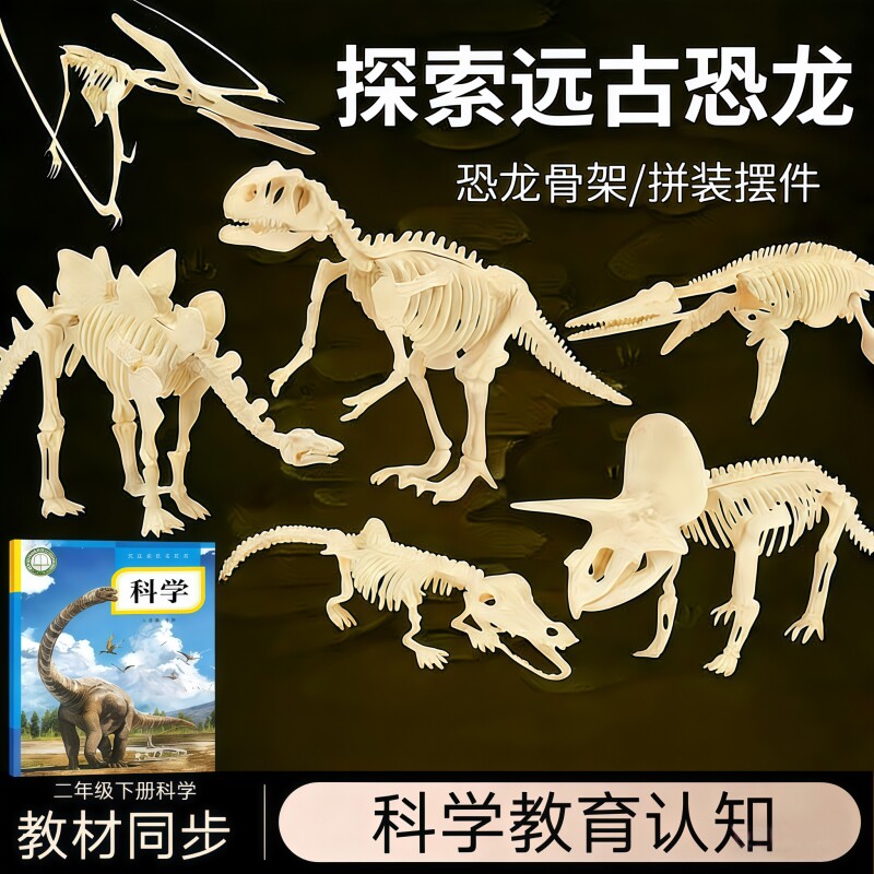 老师推荐恐龙骨架拼装模型二年级自然课教具霸王龙三角龙考古玩具
