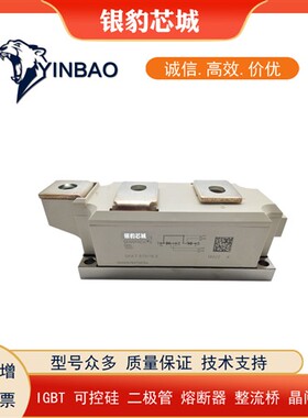 SKKT570/18E SKKT570/16E全新原装可控硅模块现货