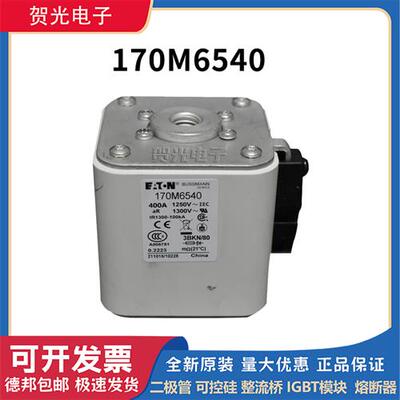 全新原装熔断器170M6540/6541/6542/6543/6544/6545/6546