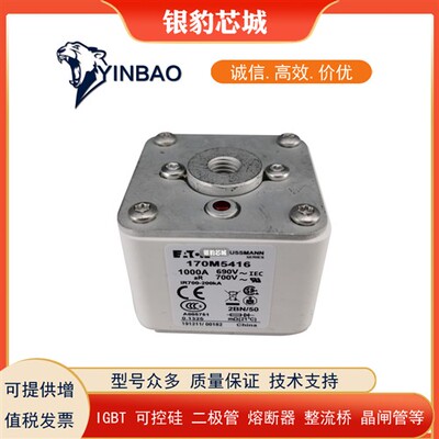 170M5393 170M5394 170M5395 170M5396 170M5397全新熔断器保险丝