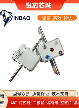 PC33UD69V1100A P300255 PC33UD69V1250A Q300256全新熔断器现货