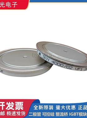 进口圆饼模块SKN4000-02/04/06/SKN6000-02SKN6000-04/SKN6000-06