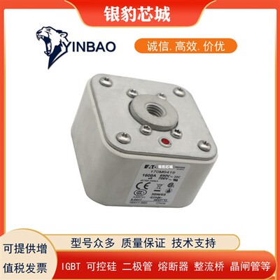 170M6418 170M6419 170M6420 170M6421全新熔断器保险丝