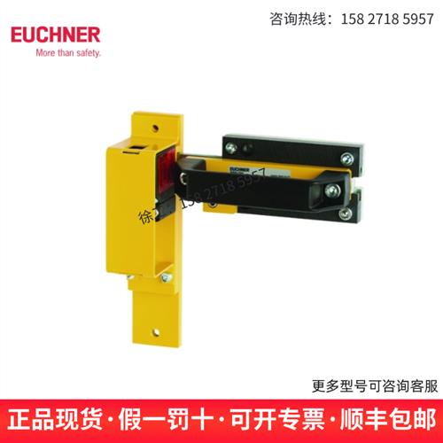 门闩113986 RIEGEL CES-AC-AP-C01-AH-SB-C2296