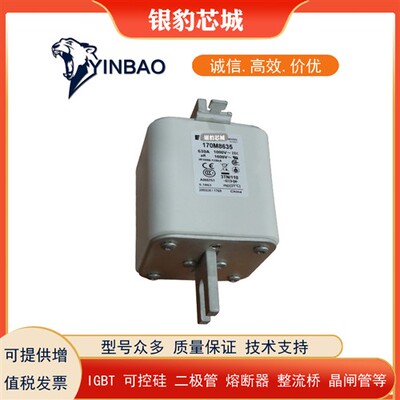 170M8619 170M8620 170M8621 170M8622 170M8623全新熔断器保险丝