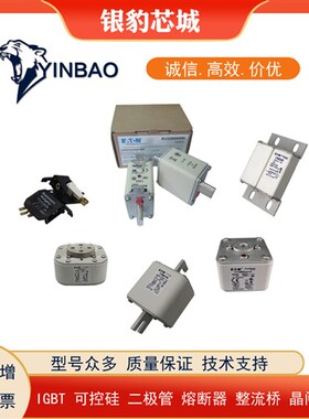 170M5615 170M5616 170M5617 170M5618 170M6608全新熔断器保险丝