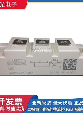 西门康IGBT模块SKM100GAR12E4/SKM100GAR123D