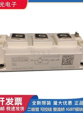西门康IGBT模块可控硅 SKM200GAR12E4/ SKM200GAR123D现货
