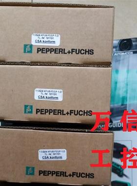 P+F原装安全控制器KFU8-FSSP-1.D订货号181191