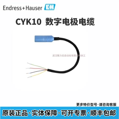 议价E+H 德国 PH数字电极电缆CYK10-A051 CYK10-A101现货
