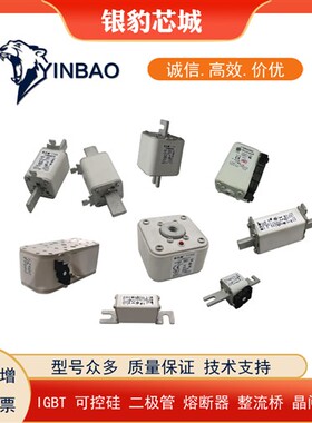 170M6671 170M3708 170M3709 170M3710 170M3711全新熔断器保险丝