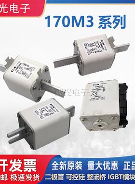 巴斯曼快速熔断器170M3363/3364/3365/3366/3367/3368/3369全系列