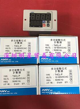 T4CL-P 24V时间继电器台湾ANV计数器原装正品假一罚十