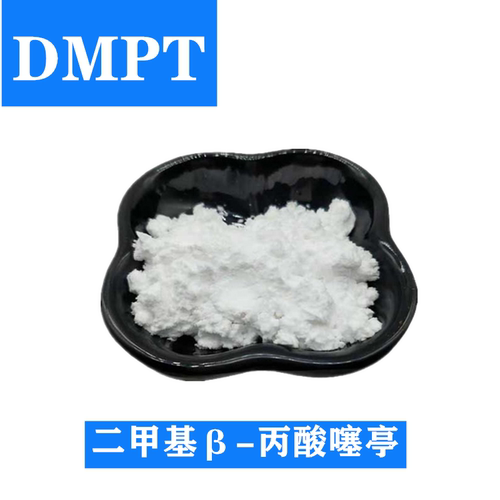 诱鱼剂诱食剂鱼咬石头