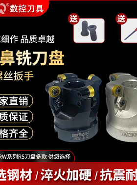 数控圆鼻刀盘EMRW5R-50/63/80抗震开粗面铣刀盘装RDMT1003刀片