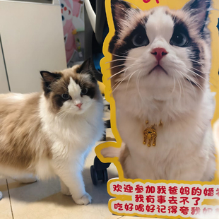 婚礼定做kt板宠物立牌猫咪狗狗迎宾牌照片展板指路牌订婚氛围装饰