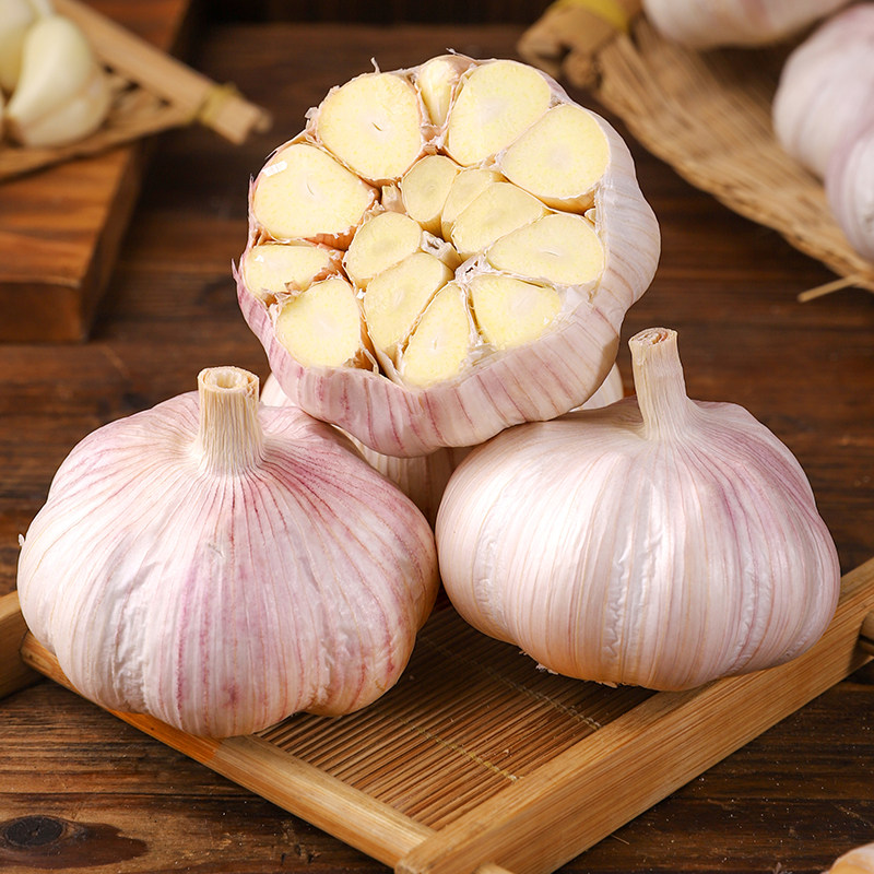 【新干蒜】超大果农家自种5斤新干蒜紫白皮大蒜头坏果包赔200克起
