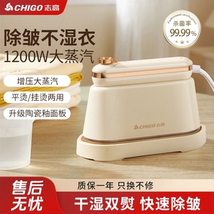 手持挂烫机家用小型熨烫便携式 2025新款 电机大蒸汽熨斗烫衣服书法