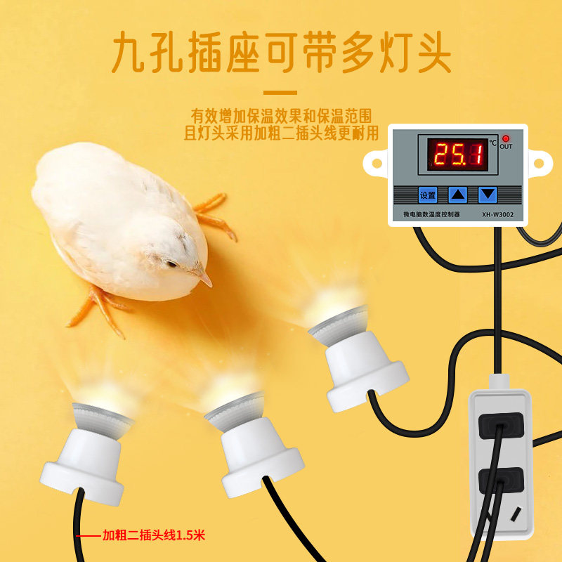 速发芦丁鸡保温灯自动控温保温箱保暖灯幼鸡育雏小鸡取暖温控器太