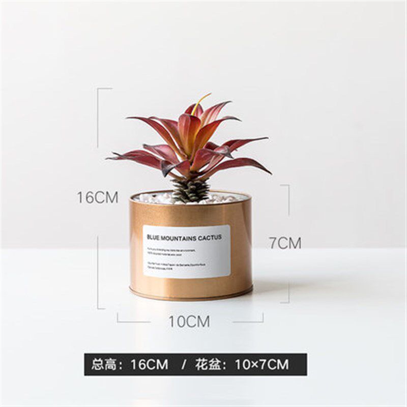 速发小盆栽摆件多肉电物假花桌面迷你绿植植饰墙软装视品