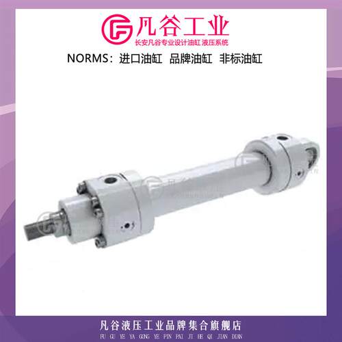 现货Wabtz油缸液压缸ZM1-100/56-250-1G/DB2-A-C 双作用工程缸油