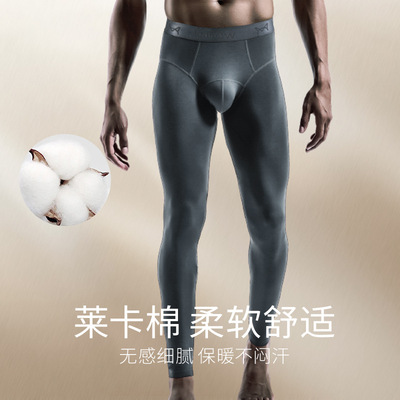 猫人男士薄款秋裤紧身衬裤男生棉裤保暖裤男秋冬季透气线裤打