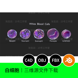 白细胞微观生物3D模型blender建模C4D素材OBJ三维文件下载1531