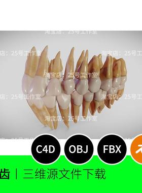 牙齿牙周牙科解剖医学3D模型blender建模C4D素材OBJ文件1801