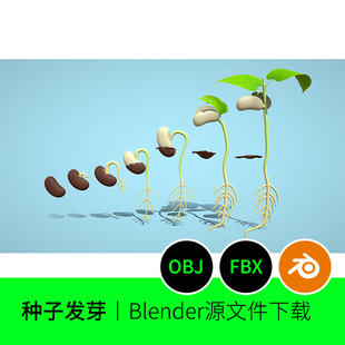 种子发芽过程植物生长变化3D模型建模OBJ素材blender文件下载621
